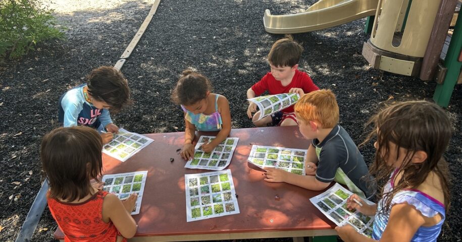 Children sit around a table outdoors, working on plant identification sheets with images and text. A playground slide is visible in the background.