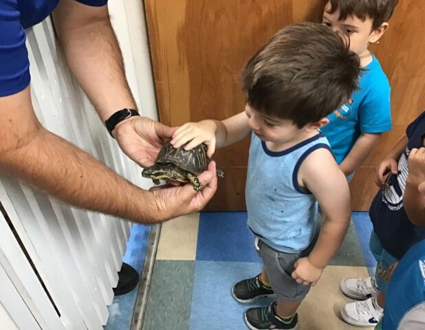 A child in a blue tank top touches a turtle held by an adult. Other children watch the interaction on a tiled floor next to a wooden door.