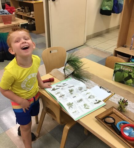 A child in a yellow shirt smiles near a table with an open book about plants, a pine branch, and various objects in a classroom setting.