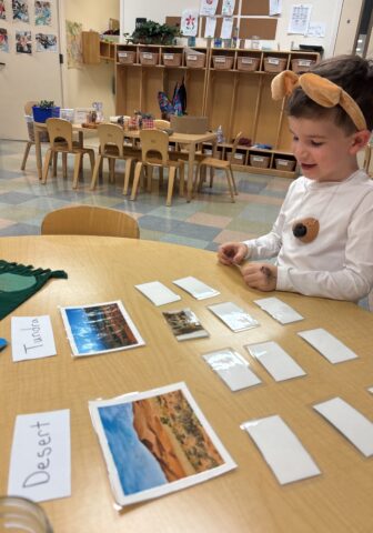 Child in a classroom, wearing animal ears, arranges laminated cards with images and words like "Desert" and "Tundra" on a table. Empty cubbies and chairs are in the background.