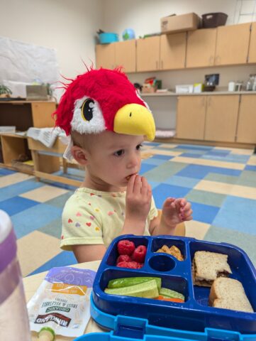 A child wearing a red bird hat eats lunch consisting of fruits, vegetables, and a sandwich in a classroom setting.