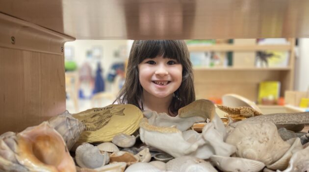A young girl peeking out of a shelf full of shells.
