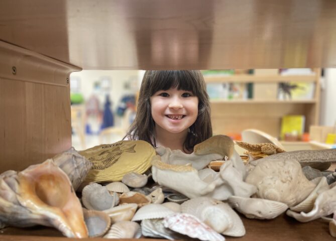 A young girl peeking out of a shelf full of shells.
