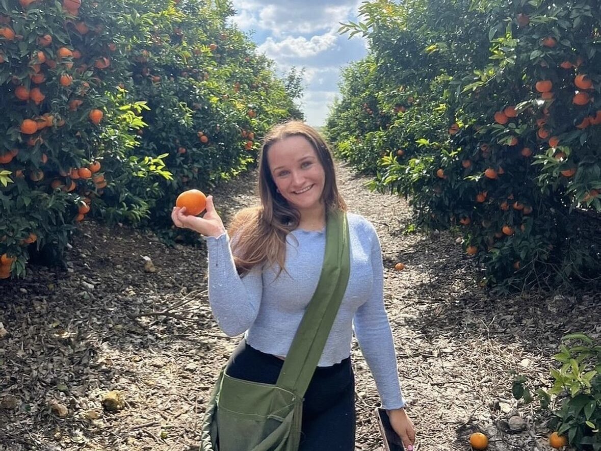 A woman stands in a grove holding an orange. She wears a light gray shirt, black pants, and a green bag. Orange trees with ripe fruits are visible in the background under a cloudy sky.