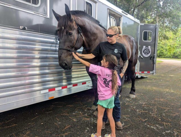 A woman and a child pet a horse in front of a horse trailer. The woman wears a black shirt and sunglasses; the child wears a pink shirt and green shorts.