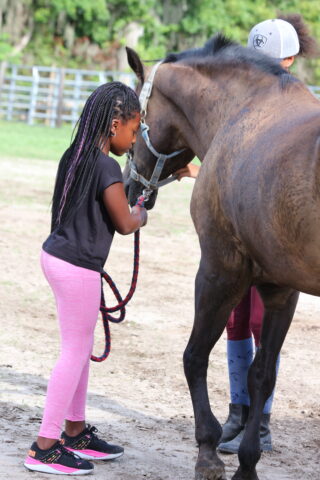 A girl in pink leggings holds a rope and feeds a brown horse outdoors.