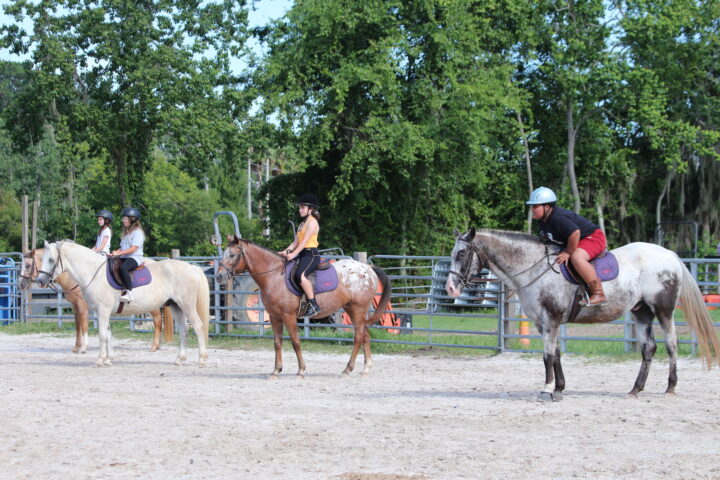 Four riders on horses wait in an outdoor arena. Each rider wears a helmet, and the horses have saddles. Trees and a fence are in the background.