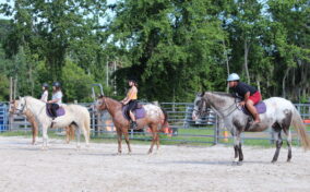 Four people riding horses are lined up in an outdoor arena. Trees are visible in the background.