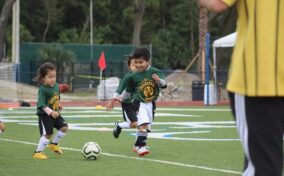 Two young children in green jerseys run after a soccer ball on a field, with an adult in a yellow shirt standing in the foreground.