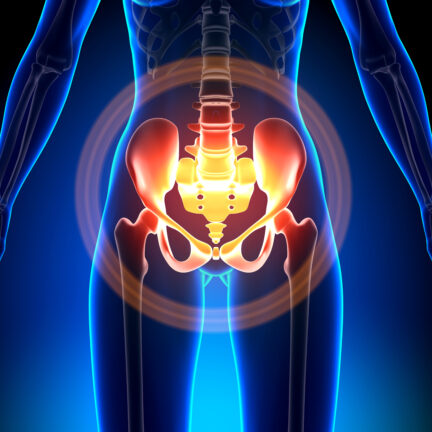 Digital illustration showing the lower torso and pelvis with a focus on the hip joints and pelvic bones, highlighted in red and orange to indicate pain or inflammation.