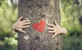A person hugs a tree with both arms; a red heart is painted on the tree trunk. The background is green and blurred.