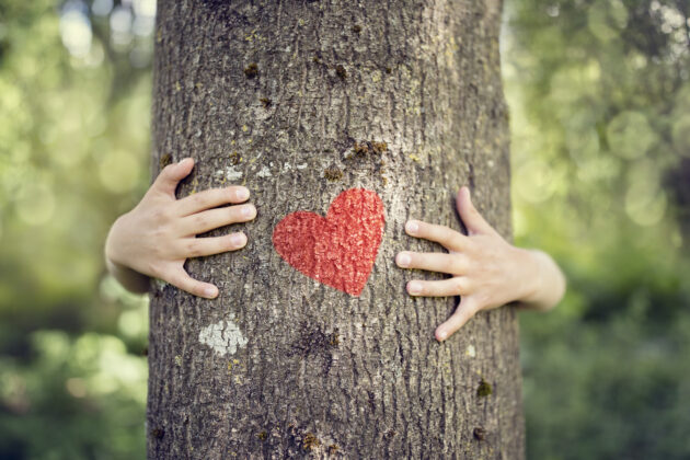 A person hugs a tree with both arms; a red heart is painted on the tree trunk. The background is green and blurred.