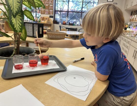 A young child uses a dropper to transfer red liquid between glasses on a tray, with a drawing and paper nearby on a classroom table.