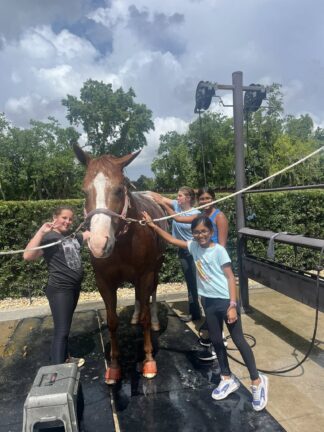 Four girls stand around a brown horse, washing it outdoors on a sunny day. The horse is secured with ropes and is wearing orange leg wraps.