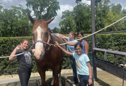 Four girls stand around a brown horse, washing it outdoors on a sunny day. The horse is secured with ropes and is wearing orange leg wraps.