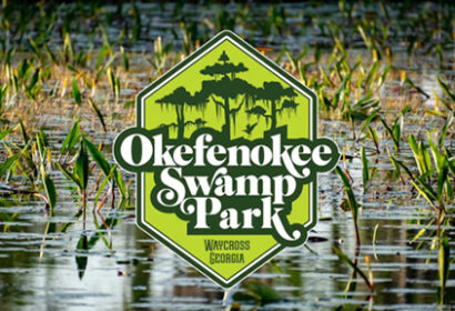 Logo for Okefenokee Swamp Park in Waycross, Georgia, displayed over a background of swamp water with aquatic plants.