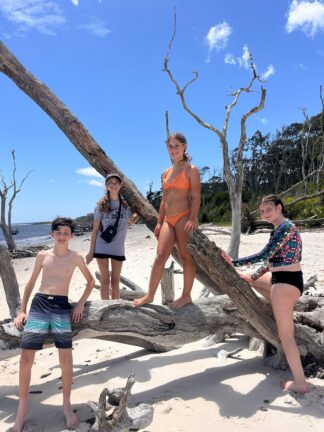 Four kids pose on and around large driftwood branches on a sandy beach under a blue sky with scattered clouds.